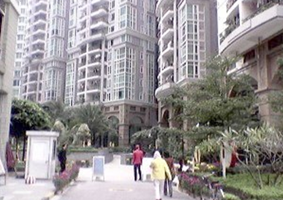 photo_1